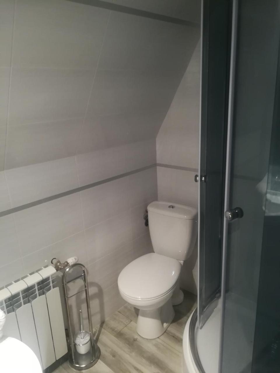 Apartament Stary Mlyn Zakopane Extérieur photo