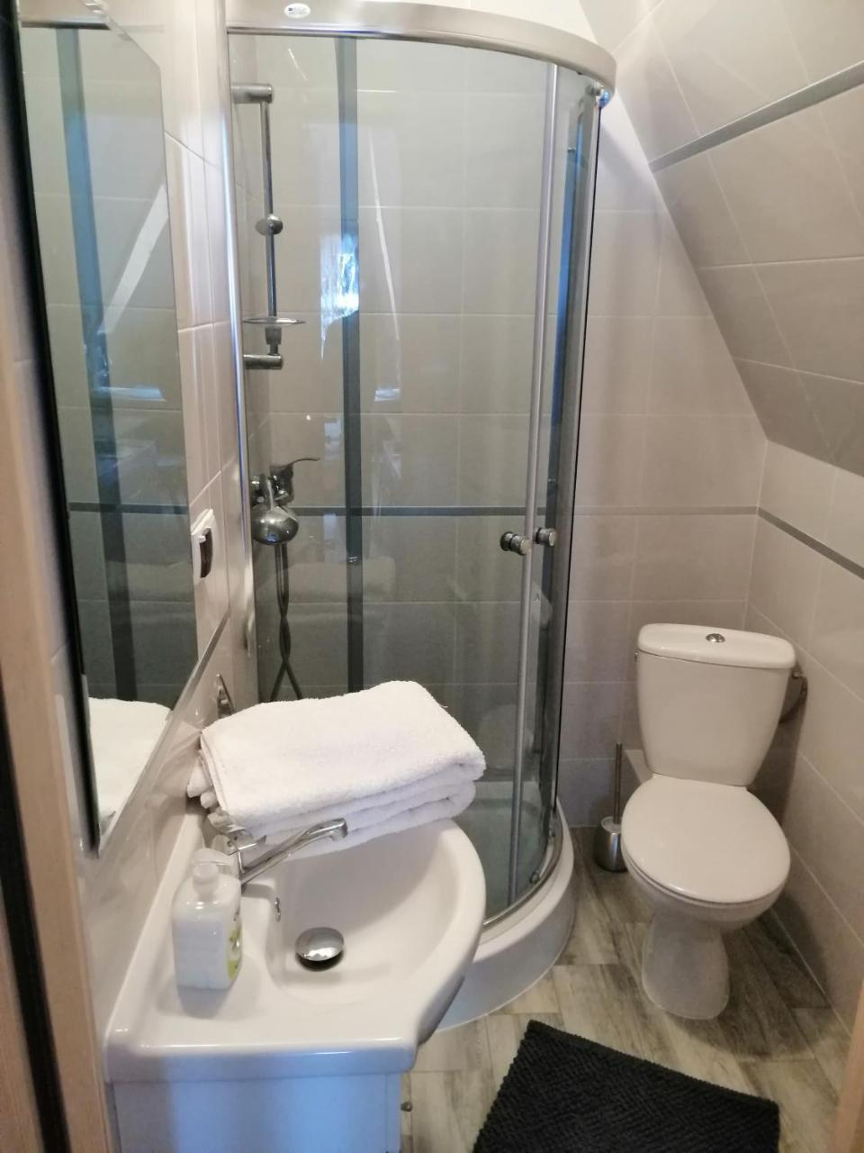 Apartament Stary Mlyn Zakopane Extérieur photo